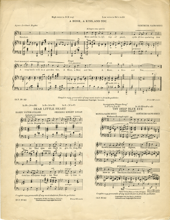 Back cover of Persian love song