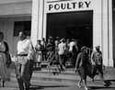 Fairgoers outside the Poultry Building, Minnesota State Fair, 1953
