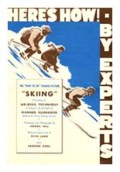 Snow Flight poster